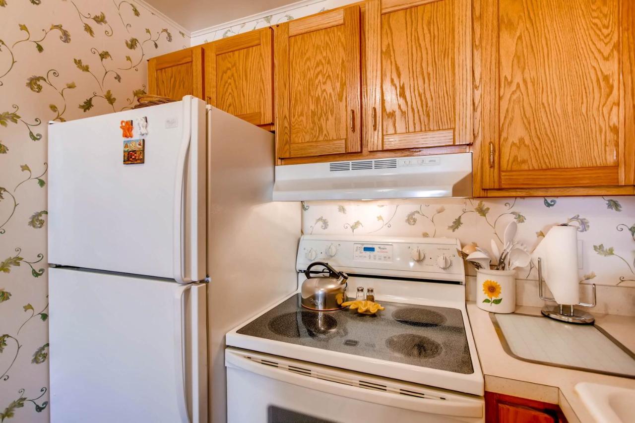 Ski-In Ski-Out Studio Private Balcony & Fireplace Condo Crested Butte Εξωτερικό φωτογραφία
